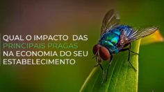 Captura de ecrã 2024-11-12, às 18.56.18