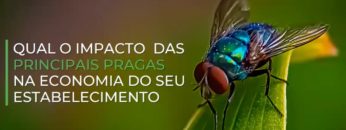 Captura de ecrã 2024-11-12, às 18.56.18