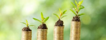 coin-wooden-table-blurred-nature